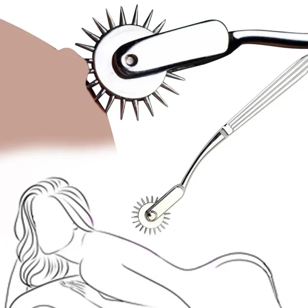 roue SM de stimulation sensorielle à pointes