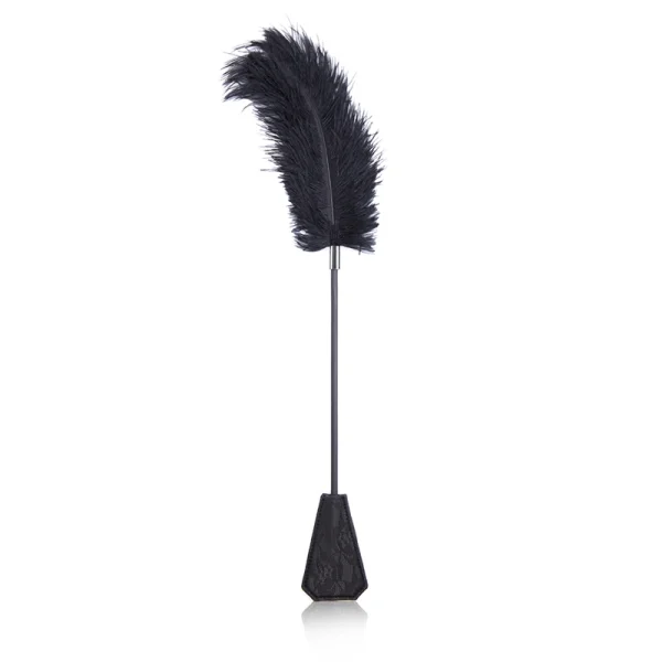 cravache BDSM avec plume