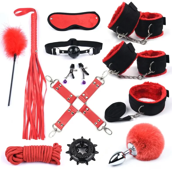 kit bdsm 12 pièces