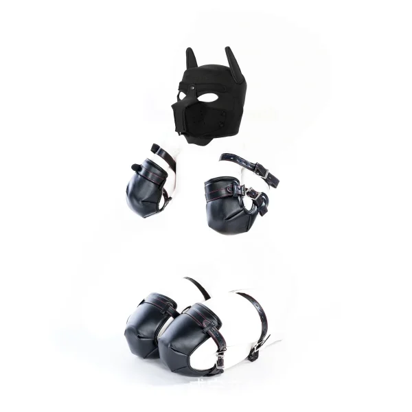 kit BDSM tenu chien